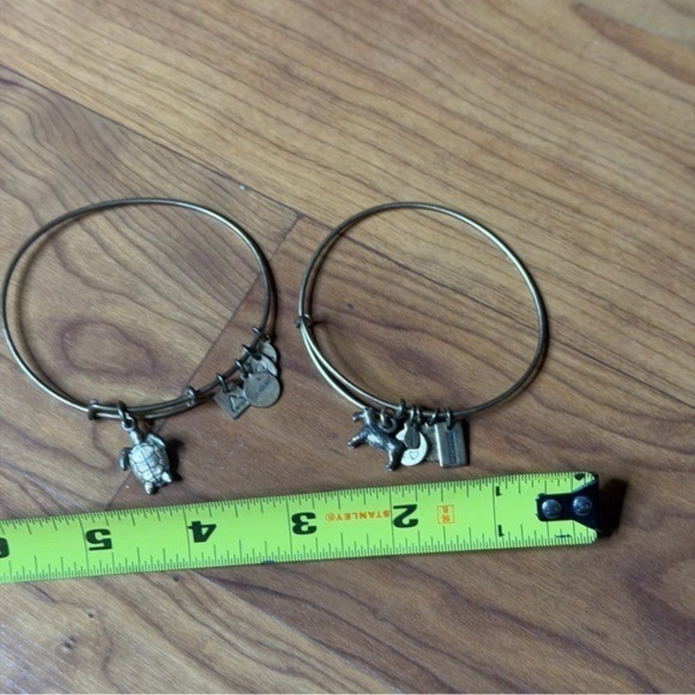 Alex and Ani Charity Bronze Charm Bangle Bracelets Dog Sea Turtle Alex&Ani Lot - Picture 8 of 8